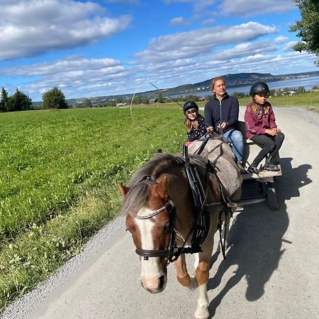 Scenic Small Guesthouse On Horse Farm By The Lake Frösö Extérieur photo