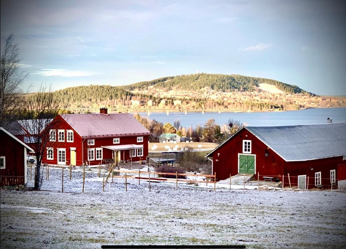 Scenic Small Guesthouse On Horse Farm By The Lake Frösö Extérieur photo