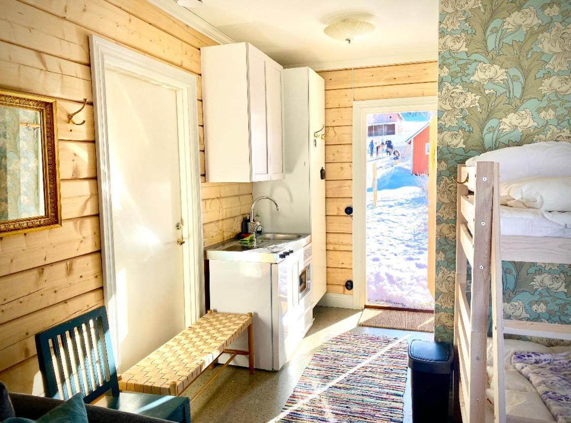 Scenic Small Guesthouse On Horse Farm By The Lake Frösö Extérieur photo