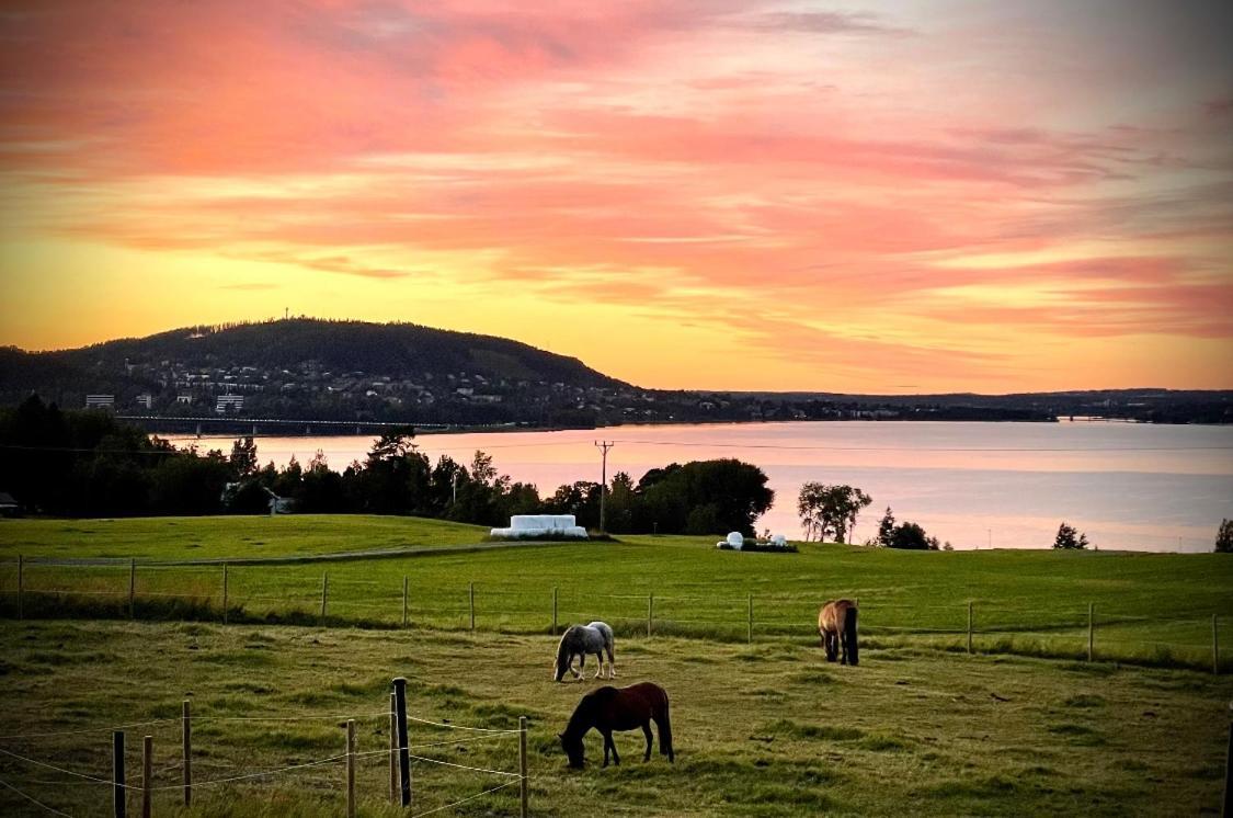 Scenic Small Guesthouse On Horse Farm By The Lake Frösö Extérieur photo