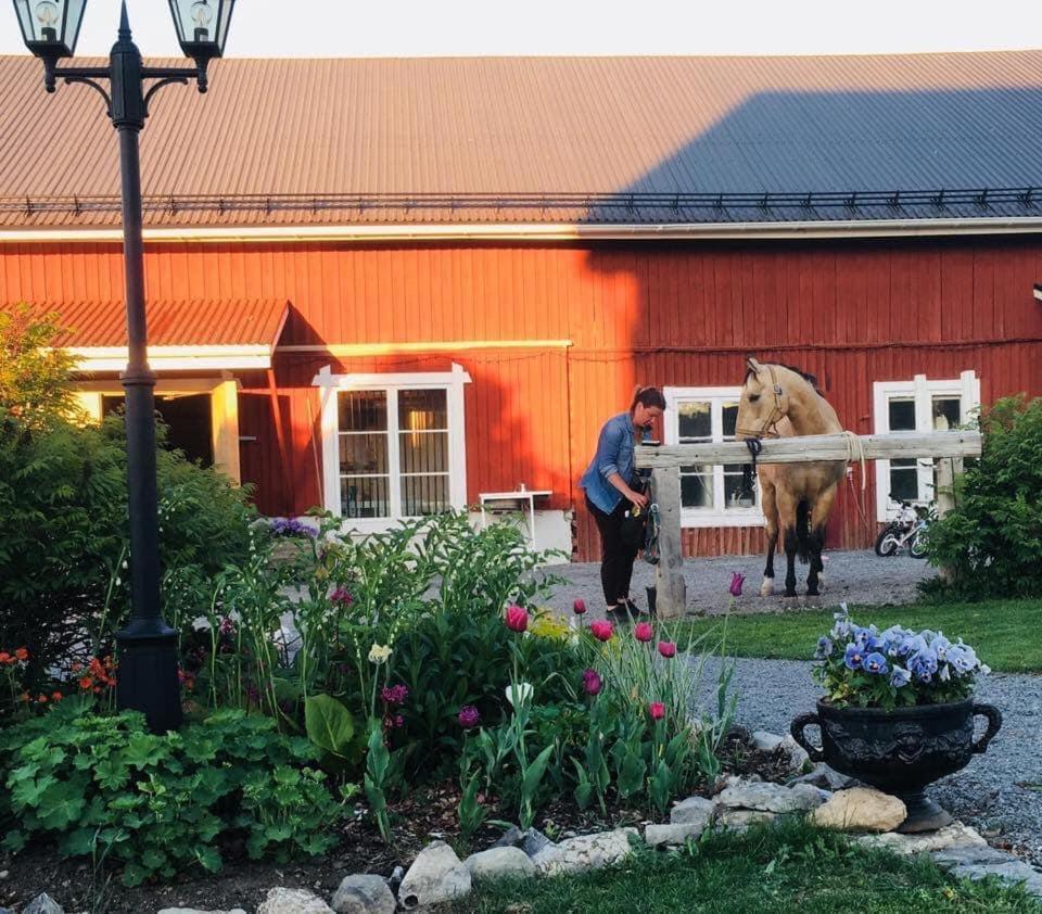 Scenic Small Guesthouse On Horse Farm By The Lake Frösö Extérieur photo