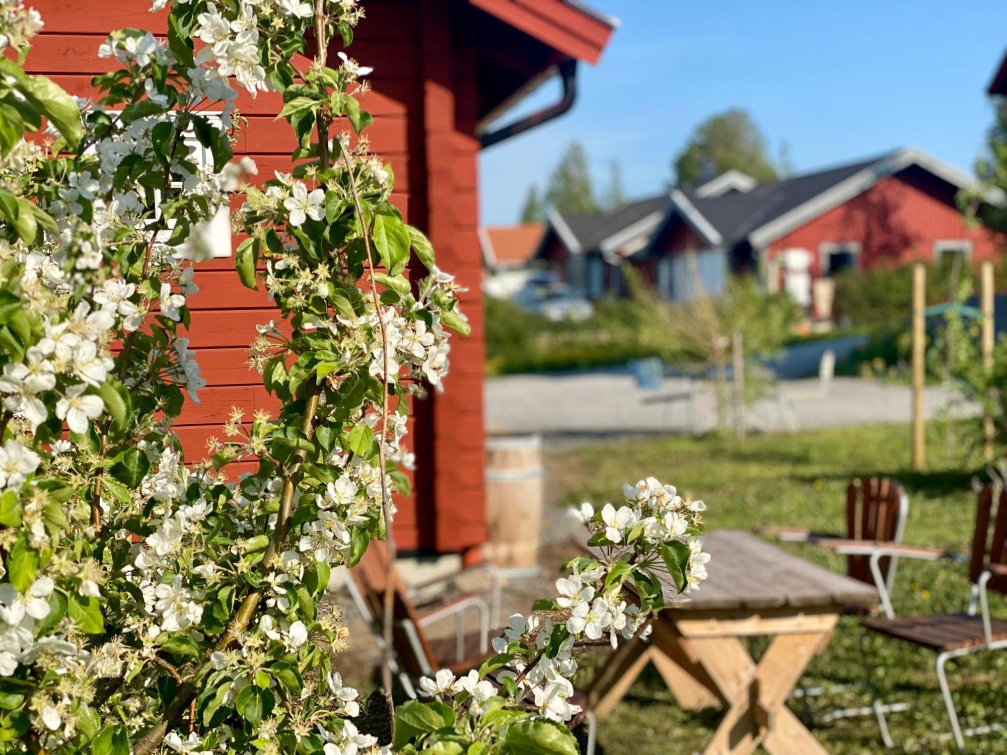 Scenic Small Guesthouse On Horse Farm By The Lake Frösö Extérieur photo